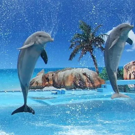 Remarkable 1-bed In Olhos De Agua * 阿尔布费拉